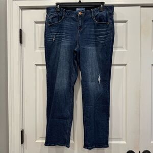 Democracy Ab Solution Distressed Blue Girlfriend Plus Jeans - Size 18W - NWOT